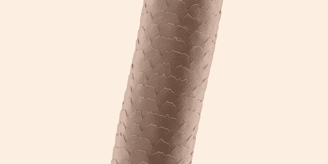 The scoop on hair porosity and protein in hair care