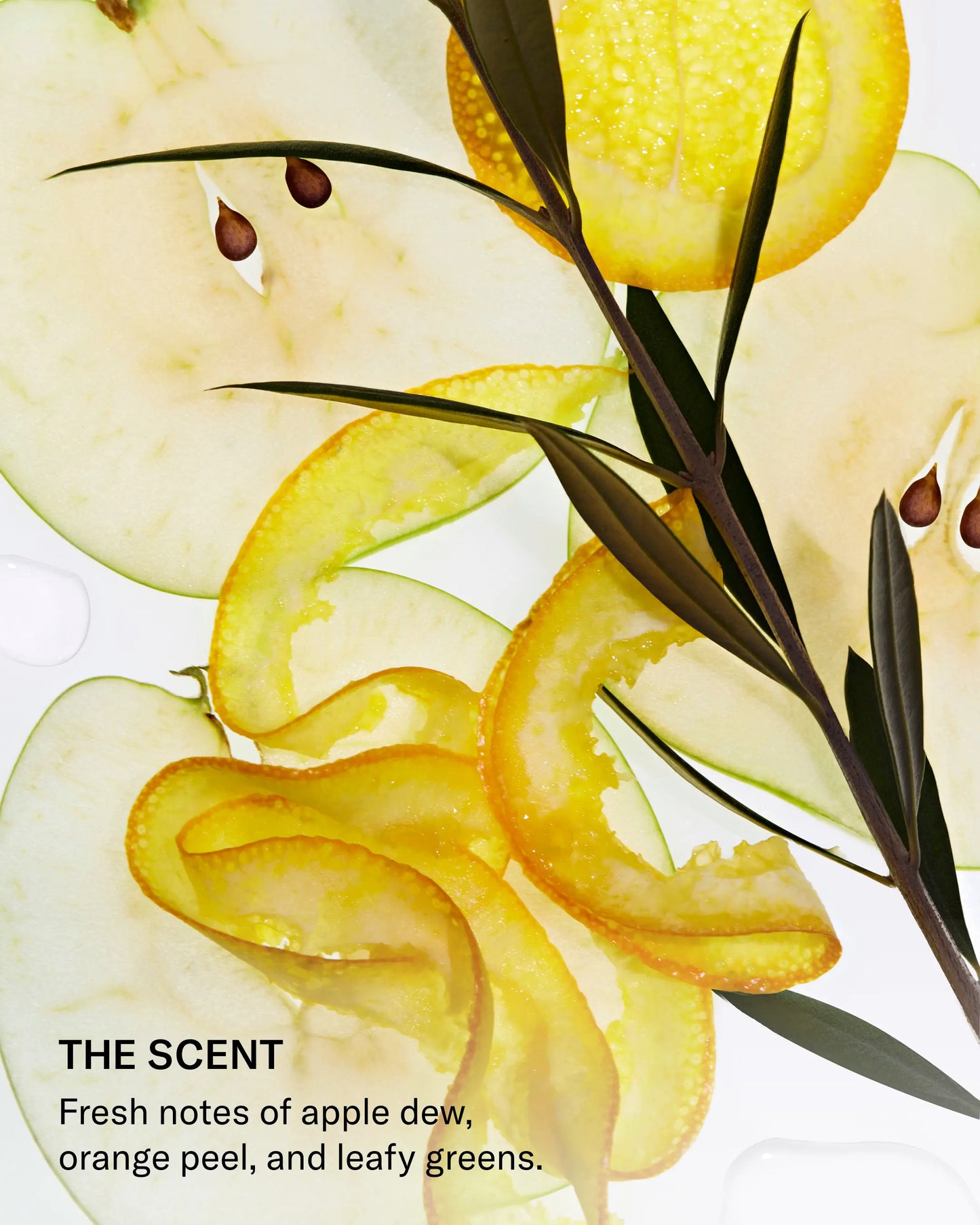 Dr. Iris Rubin's Magic Bundle