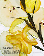 SEEN Leave-In Conditioner